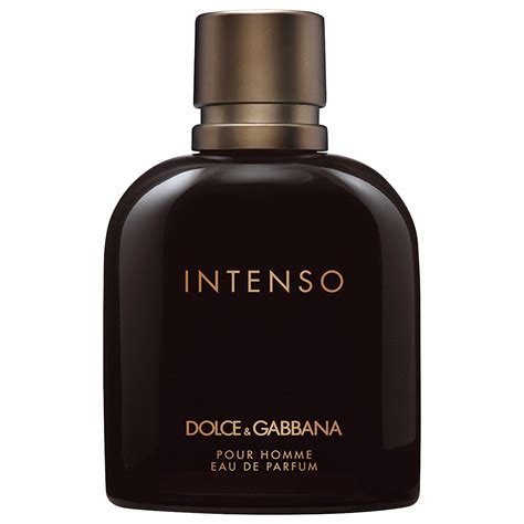 dolce gabbana intenso idealo|dolce and gabbana intenso notes.